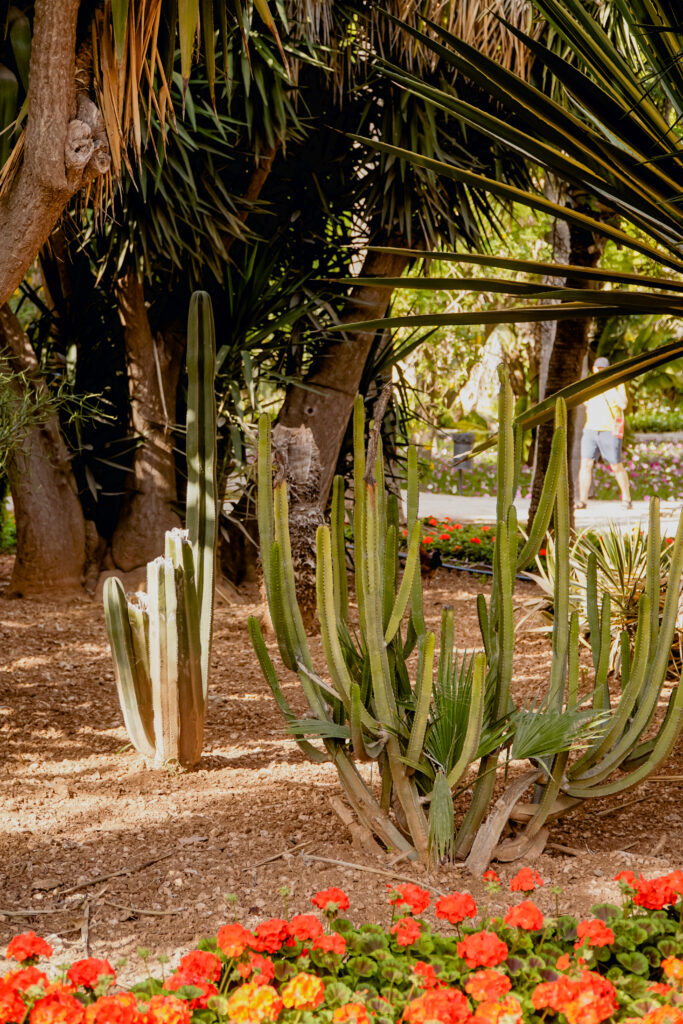 Ogrody San Anton, Malta