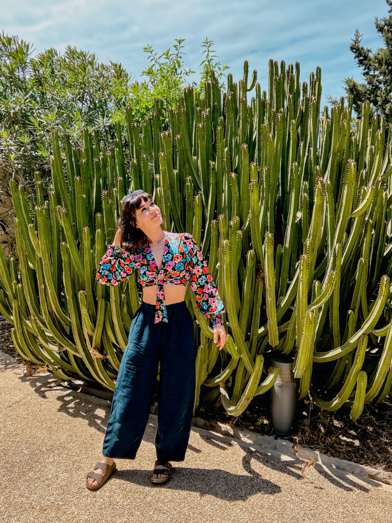 katakumby św. pawła, rabat, mdina, malta, kaktus