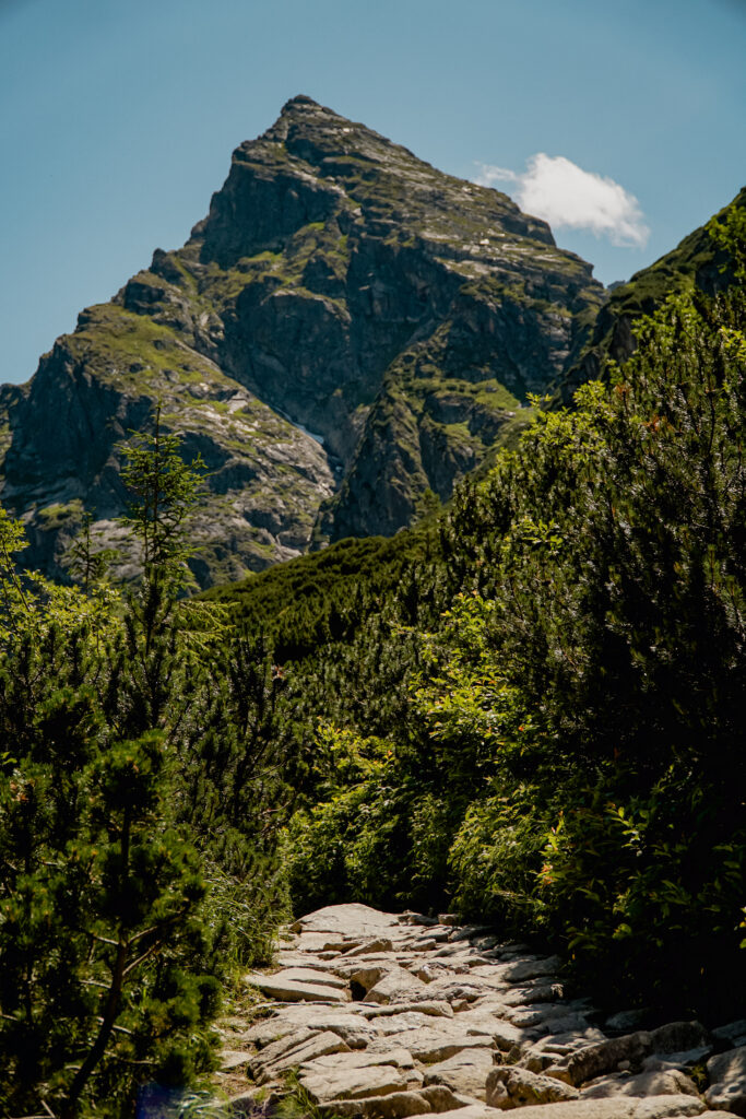Kościelec, szlak do Czarnego Stawu Gąsienicowego, Tatry