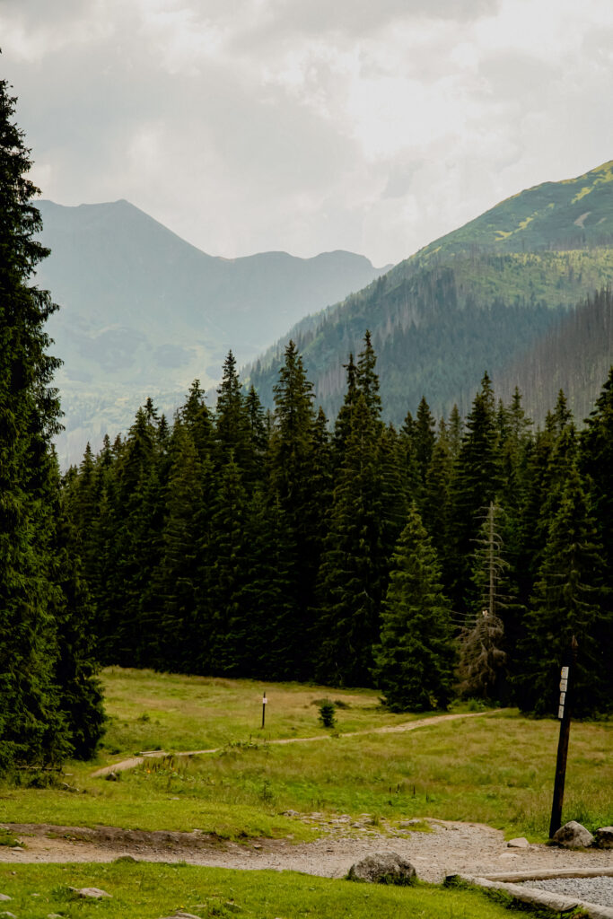 Dolina Kościeliska, schronisko na Hali Ornak, Tatry