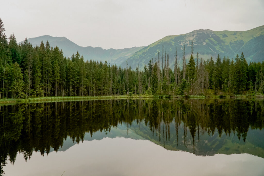 Smreczyński Staw, odbicie lustrzane w wodzie, góry, las, Dolina Kościeliska, Tatry
