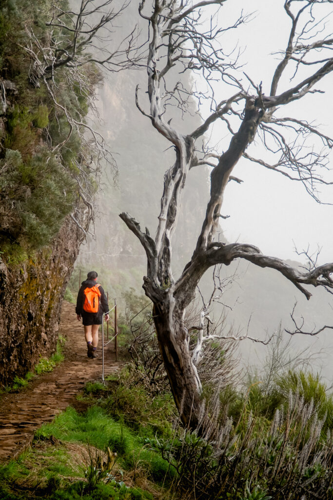 Trasa PR 1 Vereda do Pico Areeiro