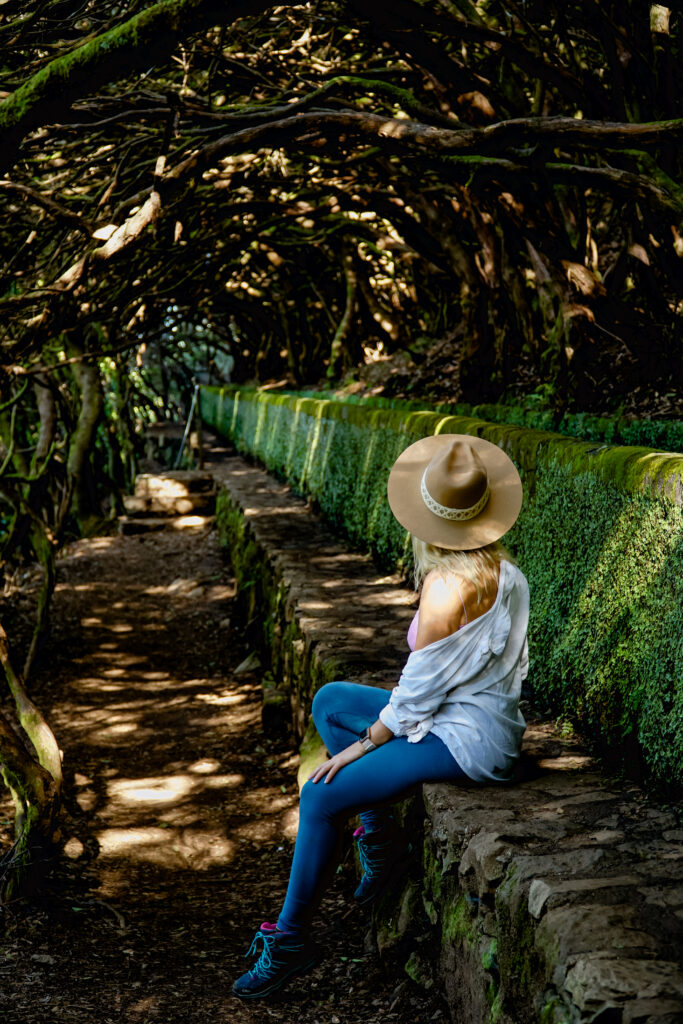 PR 6 Levada das 25 Fontes