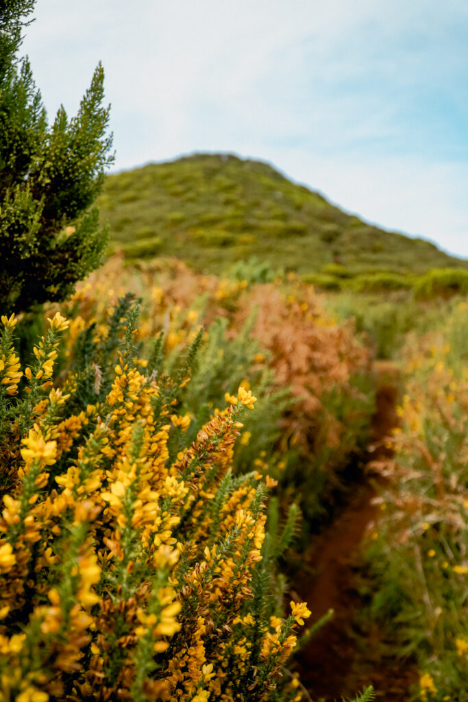 Trasa na Pico Ruivo do Paul