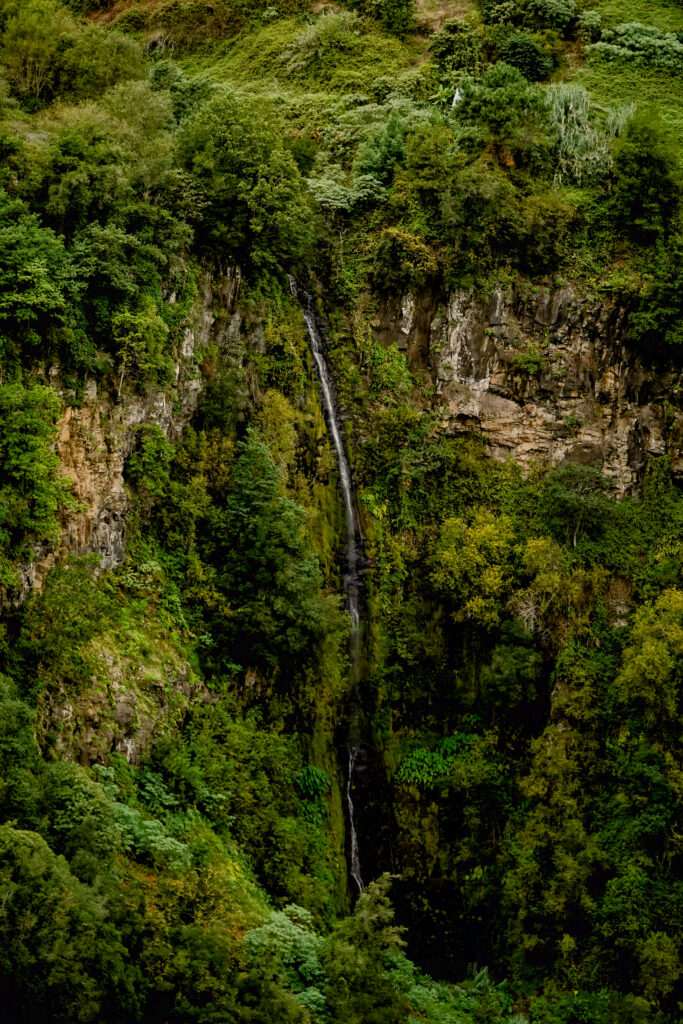 Wodospad na trasie Levada do Castelejo na Maderze