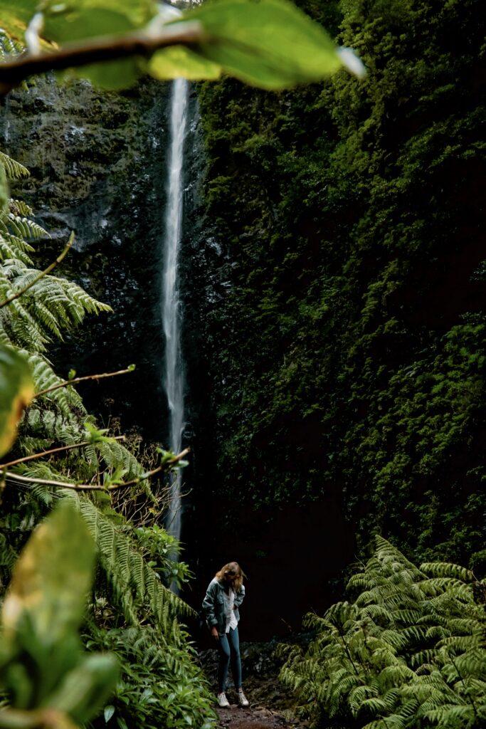 Szlak PR9 Levada do Caldeirão Verde na Maderze, najlepsze szlaki piesze na Maderze wodospad Caldeirão Verde 