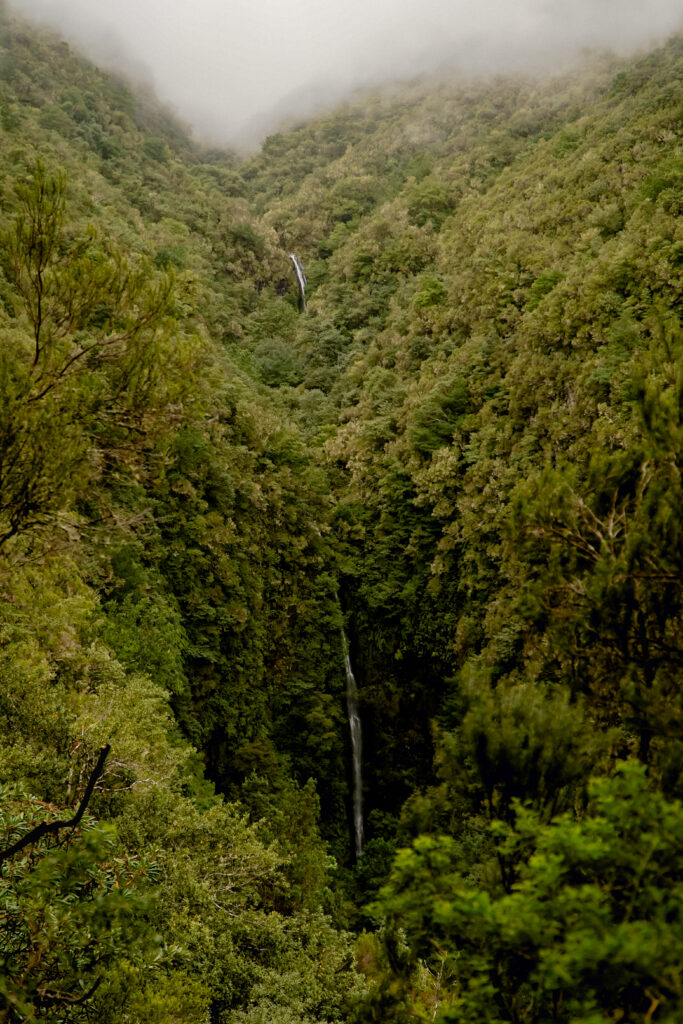 Szlak PR9 Levada do Caldeirão Verde na Maderze, najlepsze szlaki piesze na Maderze